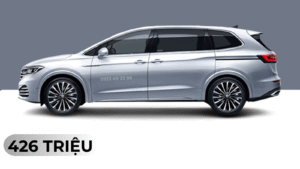 Viloran Premium 2024