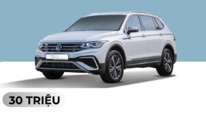 Tiguan Luxury