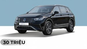 Tiguan Platinum